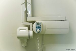 dentastra iranga (2)